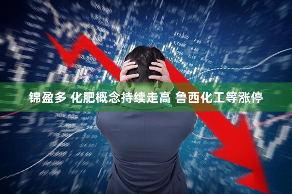 锦盈多 化肥概念持续走高 鲁西化工等涨停