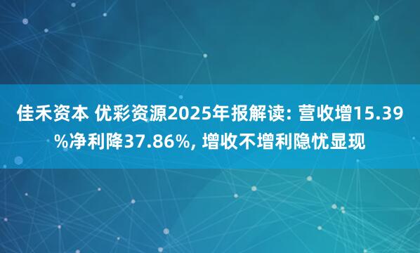 佳禾资本 优彩资源2025年报解读: 营收增15.39%净利降37.86%, 增收不增利隐忧显现