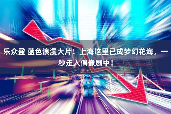 乐众盈 蓝色浪漫大片！上海这里已成梦幻花海，一秒走入偶像剧中！